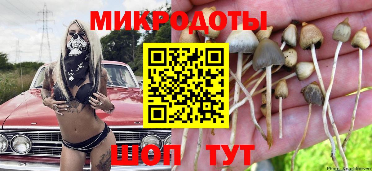 Будённовск  Псилоцибиновые грибы мицелий  Вход с VPN 